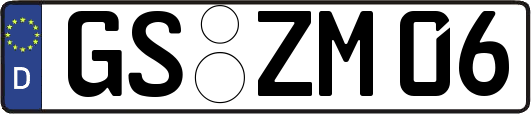 GS-ZM06