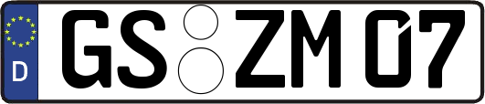 GS-ZM07
