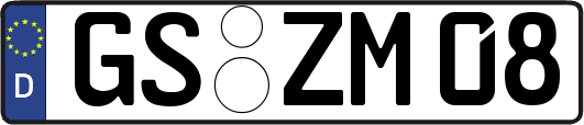 GS-ZM08