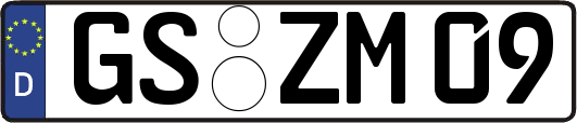 GS-ZM09