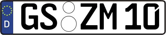GS-ZM10