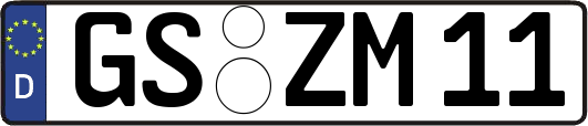 GS-ZM11