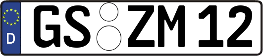 GS-ZM12