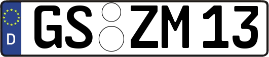 GS-ZM13