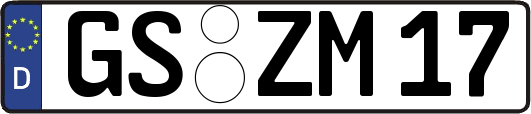 GS-ZM17