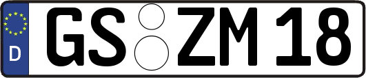GS-ZM18