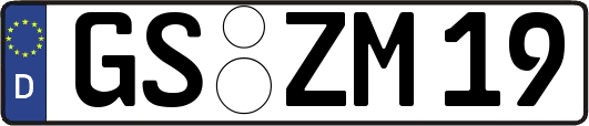 GS-ZM19