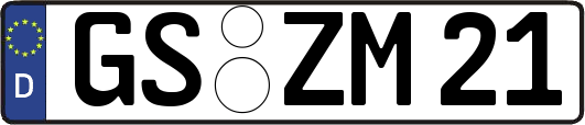 GS-ZM21