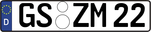 GS-ZM22