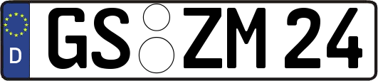 GS-ZM24