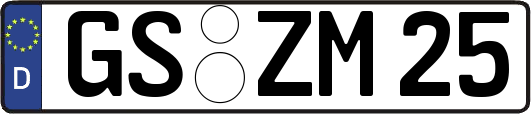 GS-ZM25