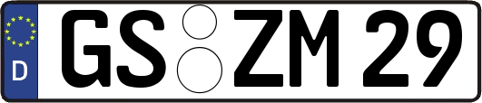 GS-ZM29