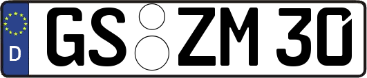 GS-ZM30