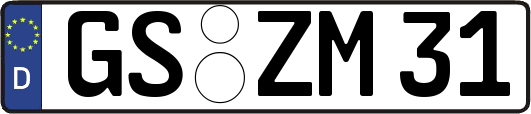 GS-ZM31