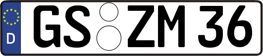 GS-ZM36