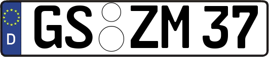 GS-ZM37
