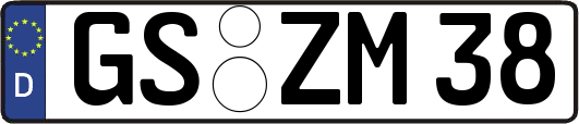 GS-ZM38