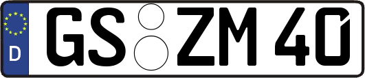 GS-ZM40