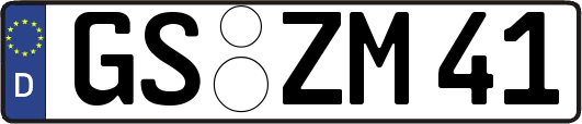 GS-ZM41