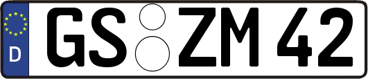 GS-ZM42