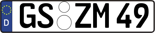 GS-ZM49