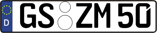 GS-ZM50