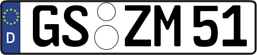 GS-ZM51