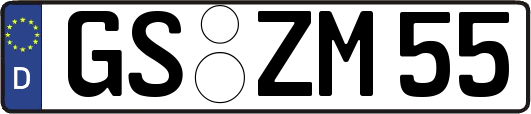 GS-ZM55