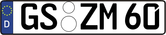 GS-ZM60
