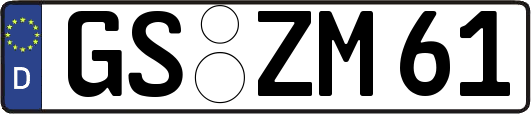 GS-ZM61