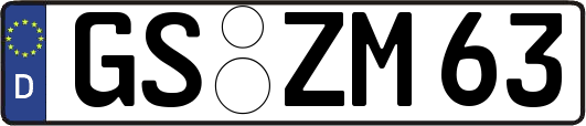GS-ZM63