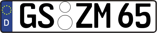 GS-ZM65