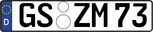 GS-ZM73