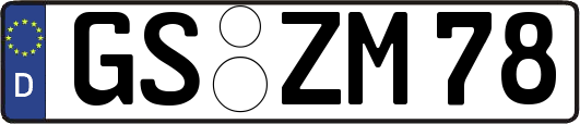 GS-ZM78