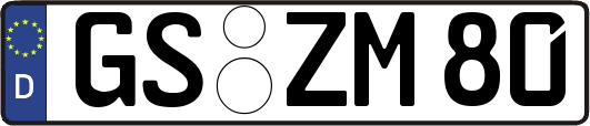GS-ZM80