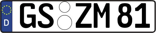 GS-ZM81