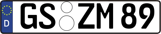 GS-ZM89