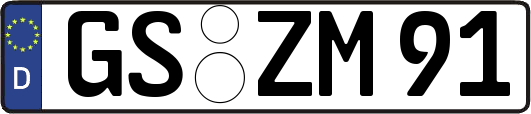 GS-ZM91