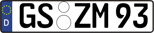 GS-ZM93