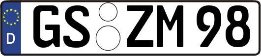 GS-ZM98