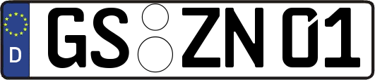 GS-ZN01