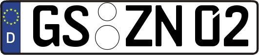 GS-ZN02