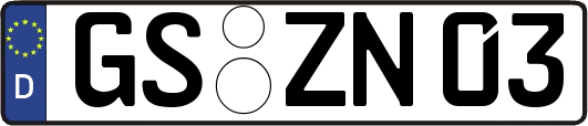 GS-ZN03