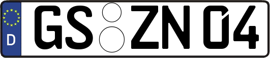 GS-ZN04