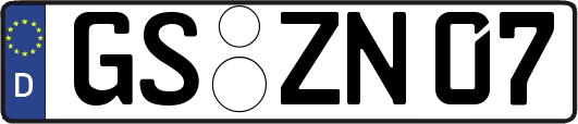 GS-ZN07