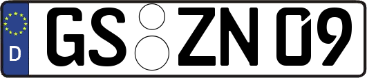 GS-ZN09
