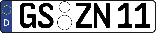 GS-ZN11