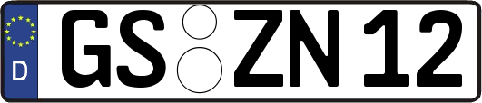GS-ZN12