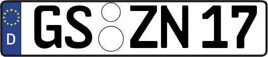 GS-ZN17