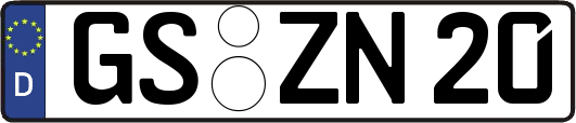GS-ZN20